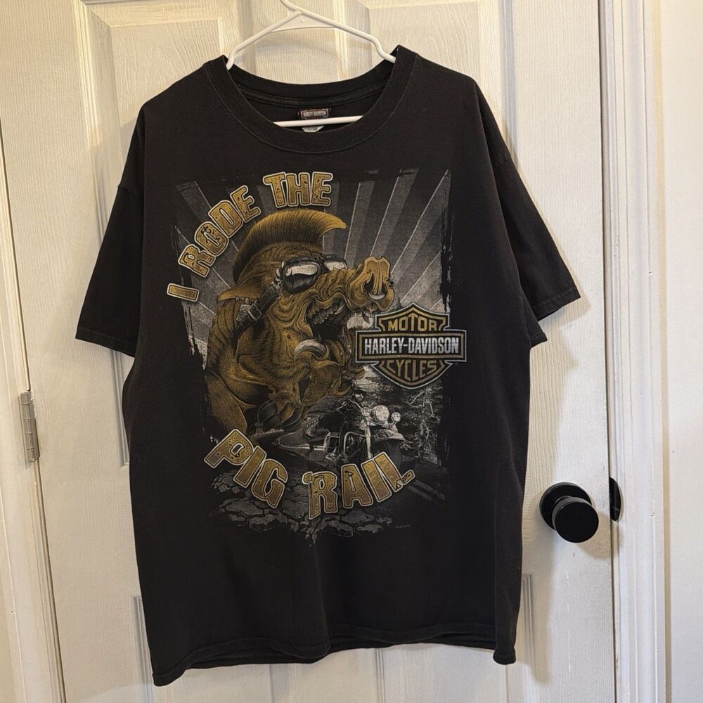 Harley Davidson XL Eureka Springs Arkansas Pig Trail Route 23 Graphic Tee